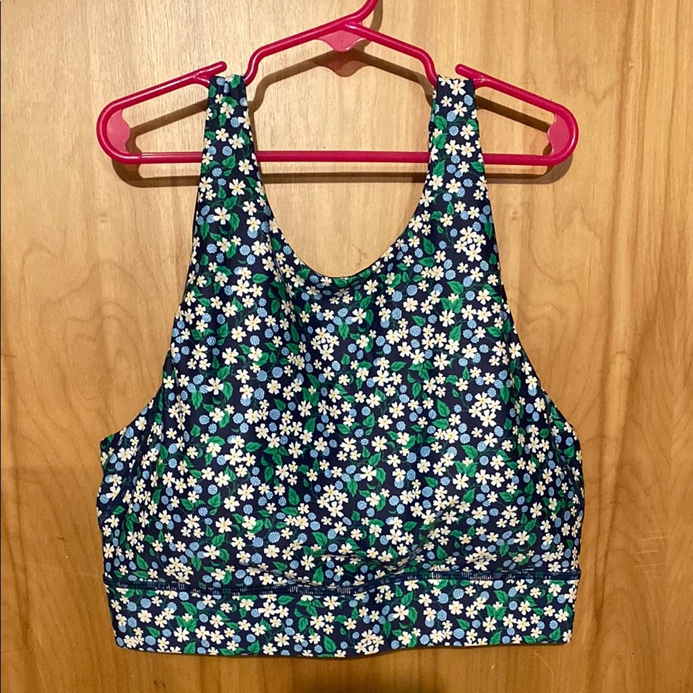 J. Crew Blue and White Crop Top